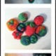 Homemade Play Dough You Can Eat!