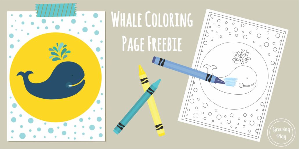 Simple Coloring Page Whale Freebie