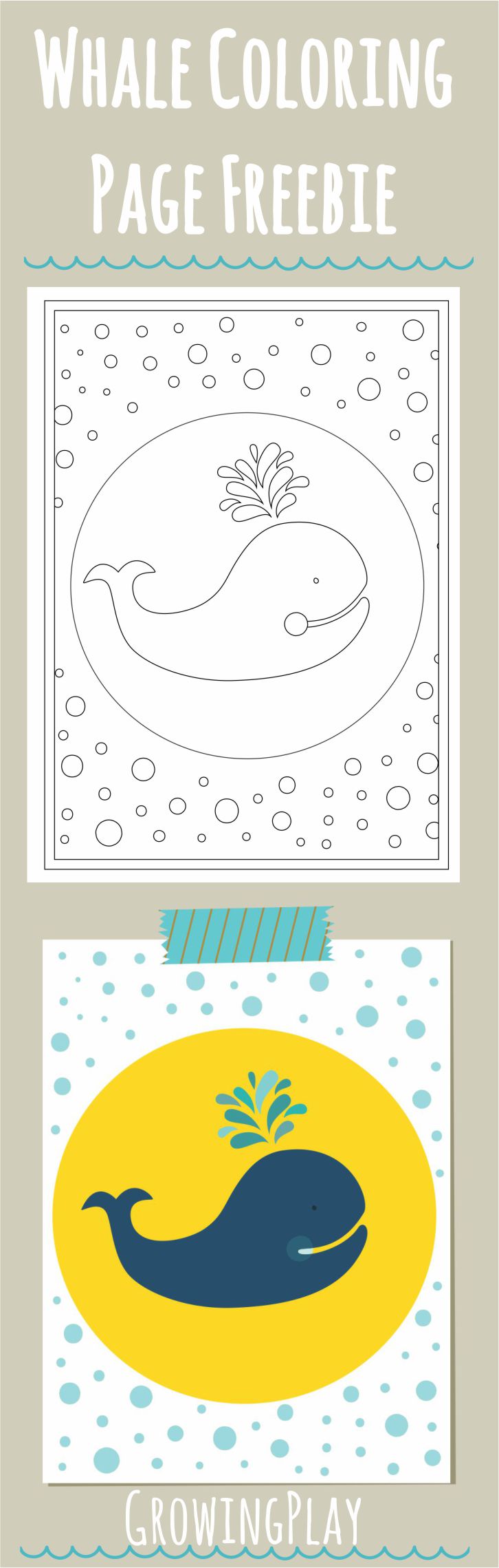 Simple Coloring Page Whale Freebie 2