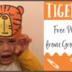 Tiger Animal Hat