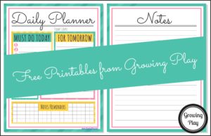 Get Organized with a Daily Planner