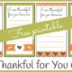 I am Thankful for You Cards - Handwrite and Hand Out