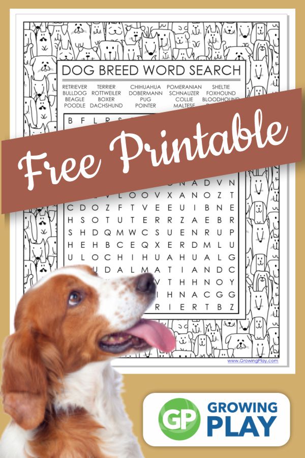 Looking for a fun FREE Dog Breeds Word Search with a twist to entertain the kids? This Dog word search combines a coloring page with a puzzle page. 