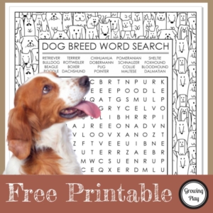 Looking for a fun FREE Dog Breeds Word Search with a twist to entertain the kids? This Dog word search combines a coloring page with a puzzle page.