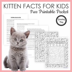 Here are 25 kitten facts for kids that will make you love kitty cats even more! BONUS - download and print the facts with a word search too!