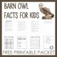 The freebie includes ALL the barn owl facts for kids, owl paint by number, copy the owl, and an owl word search puzzle!