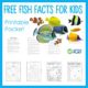 Check out these fish facts for kids. Learn about the characteristics of fish, different species of fish, and more!