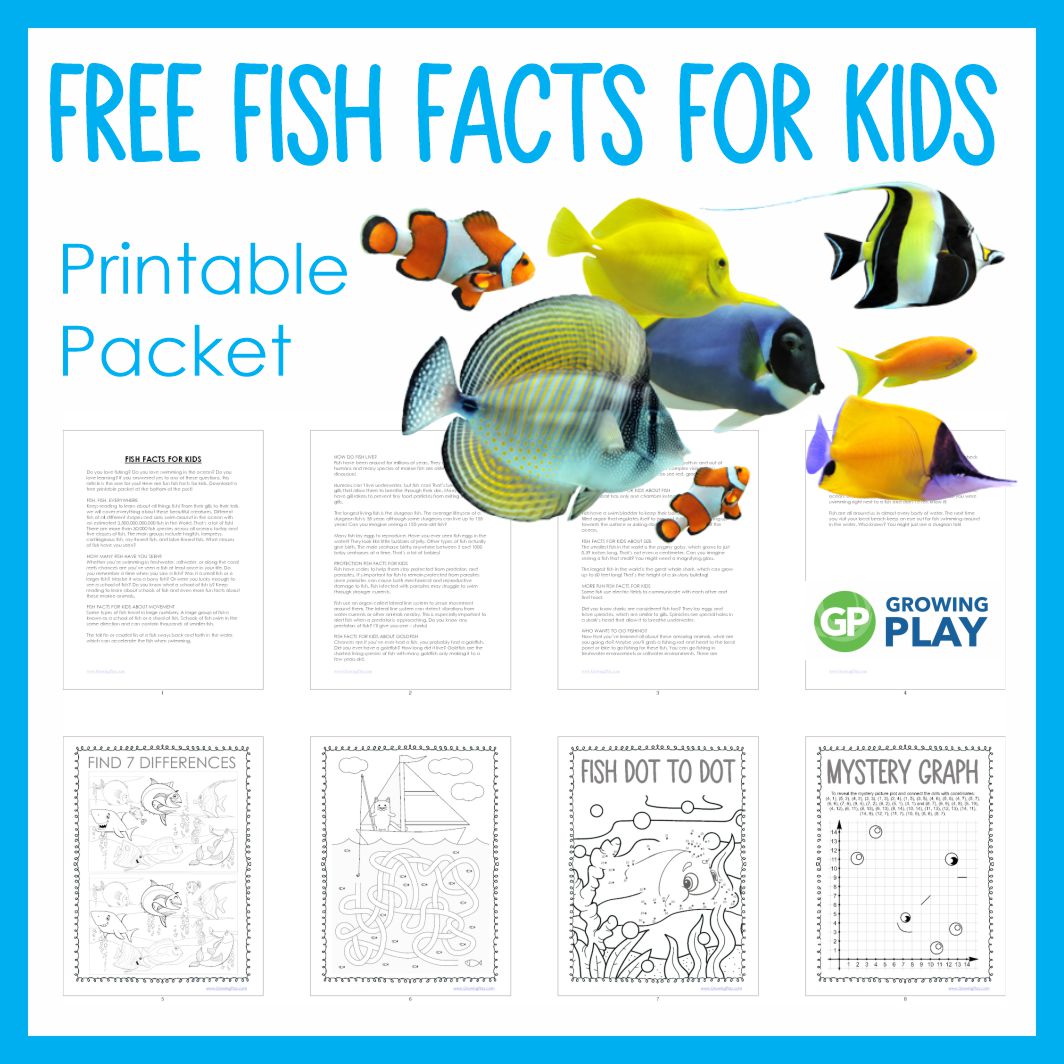 Check out these fish facts for kids. Learn about the characteristics of fish, different species of fish, and more!