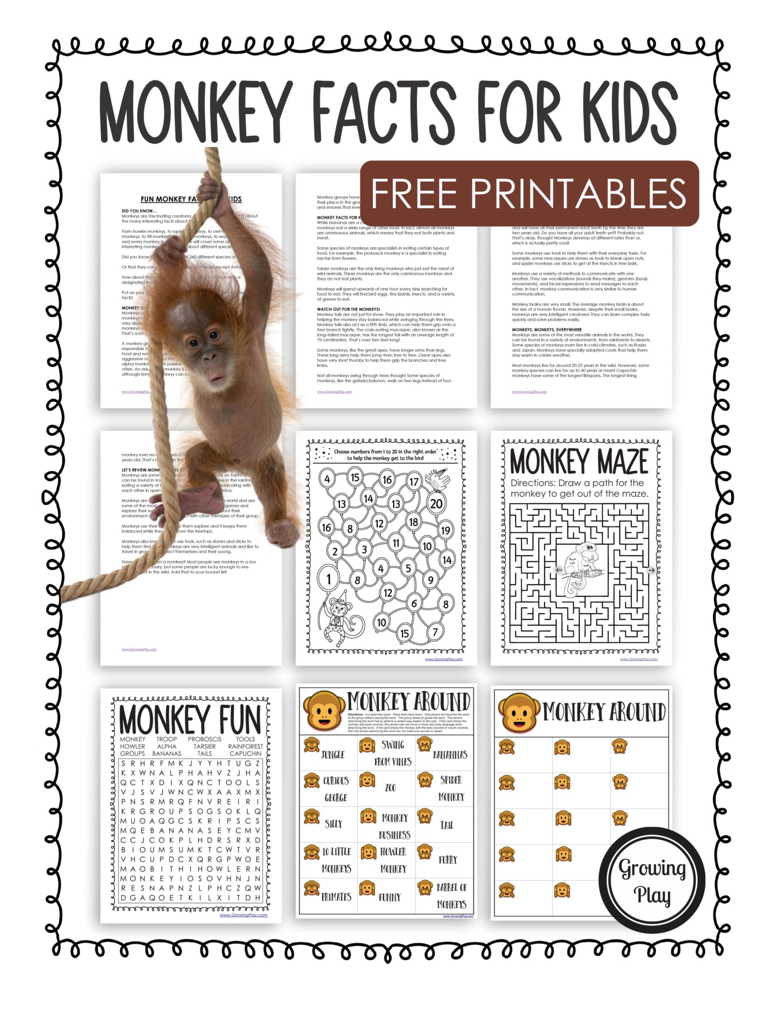 Learn all about monkeys with these fun monkey facts for kids. Plus, free monkey-themed printables for even more fun!