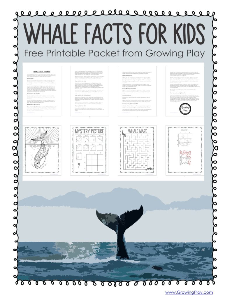 Download your free whale facts for kids packet to read the facts, color in the whale, do the puzzle and complete the maze!