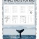 Download your free whale facts for kids packet to read the facts, color in the whale, do the puzzle and complete the maze!