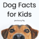 Read these dog facts for kids to learn about all the different breeds of dogs and the many characteristics of each.