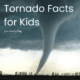 From their size and their strength to their damaging windspeeds, learn tornado facts for kids and all the effects they lead to.