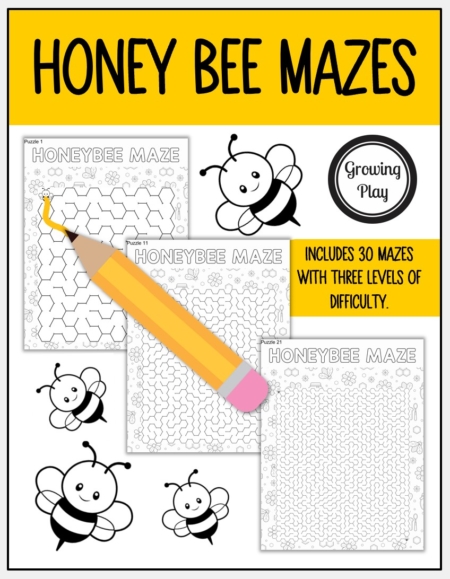 Honey Bee Maze Packet