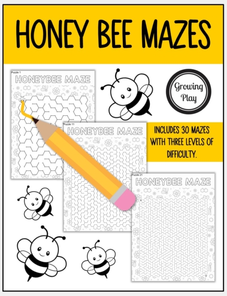 Honey Bee Maze Packet