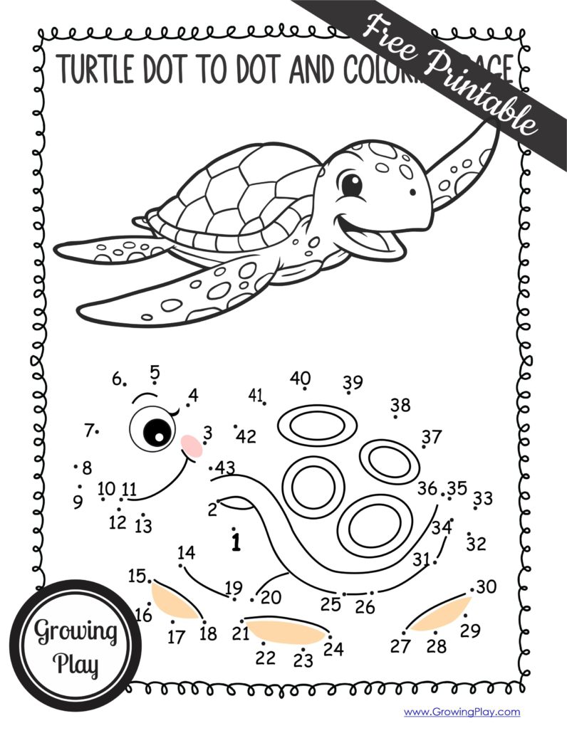 From box turtles, to giant tortoises, and sea turtles we will cover all the different species of turtles with these turtle facts for kids.