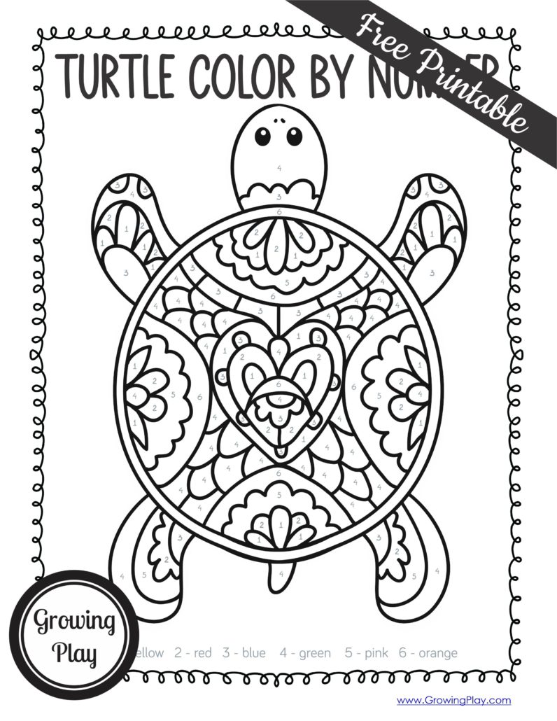 From box turtles, to giant tortoises, and sea turtles we will cover all the different species of turtles with these turtle facts for kids.