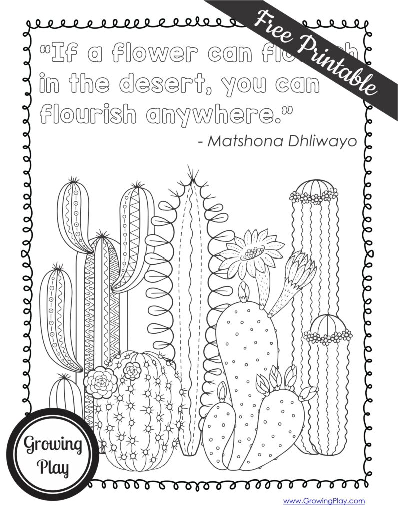 Learn all about desert temperature, climate, characteristics, wildlife and more with these desert facts for kids!