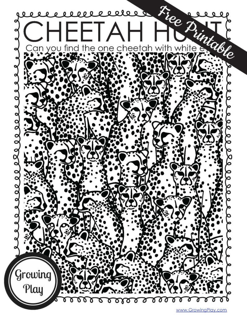 Learn all about cheetahs with over fifteen cheetah facts for kids. We will cover it all from their habitat, to the their diet, and lifespan.