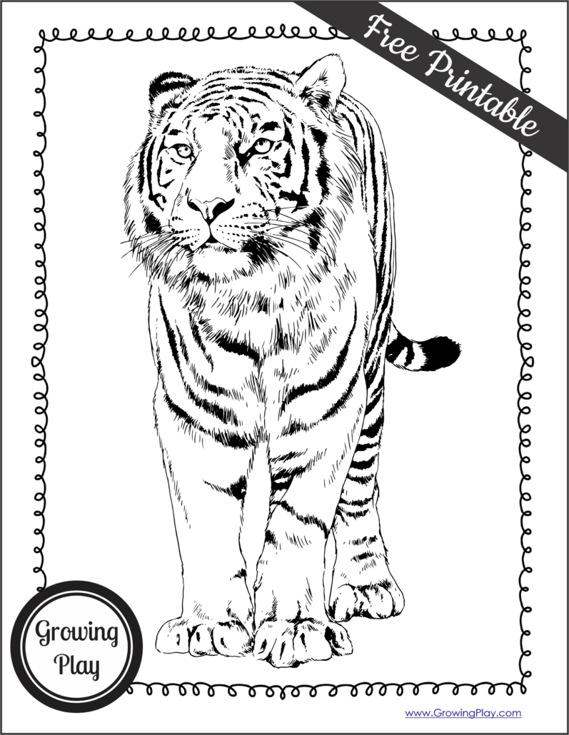 You can download these free printable tiger coloring pages. These animal coloring pages are perfect for kids of all ages