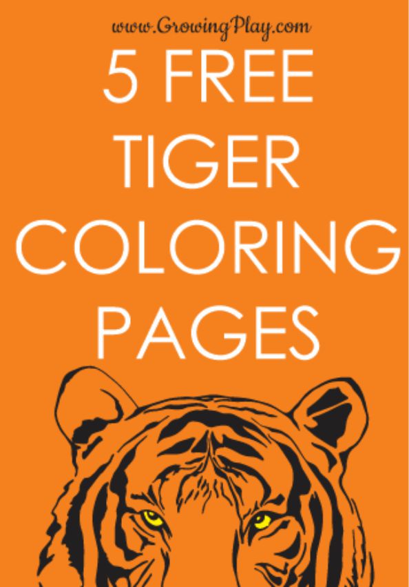 You can download these free printable tiger coloring pages. These animal coloring pages are perfect for kids of all ages