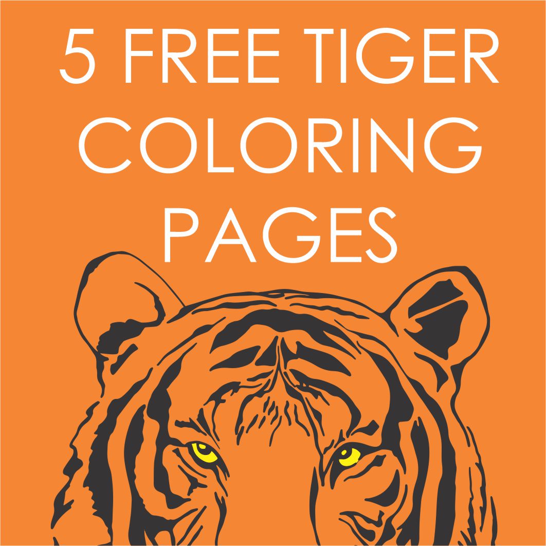 5 free tiger coloring pages