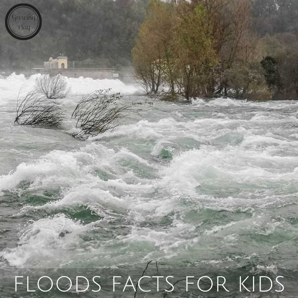 floods facts for kids